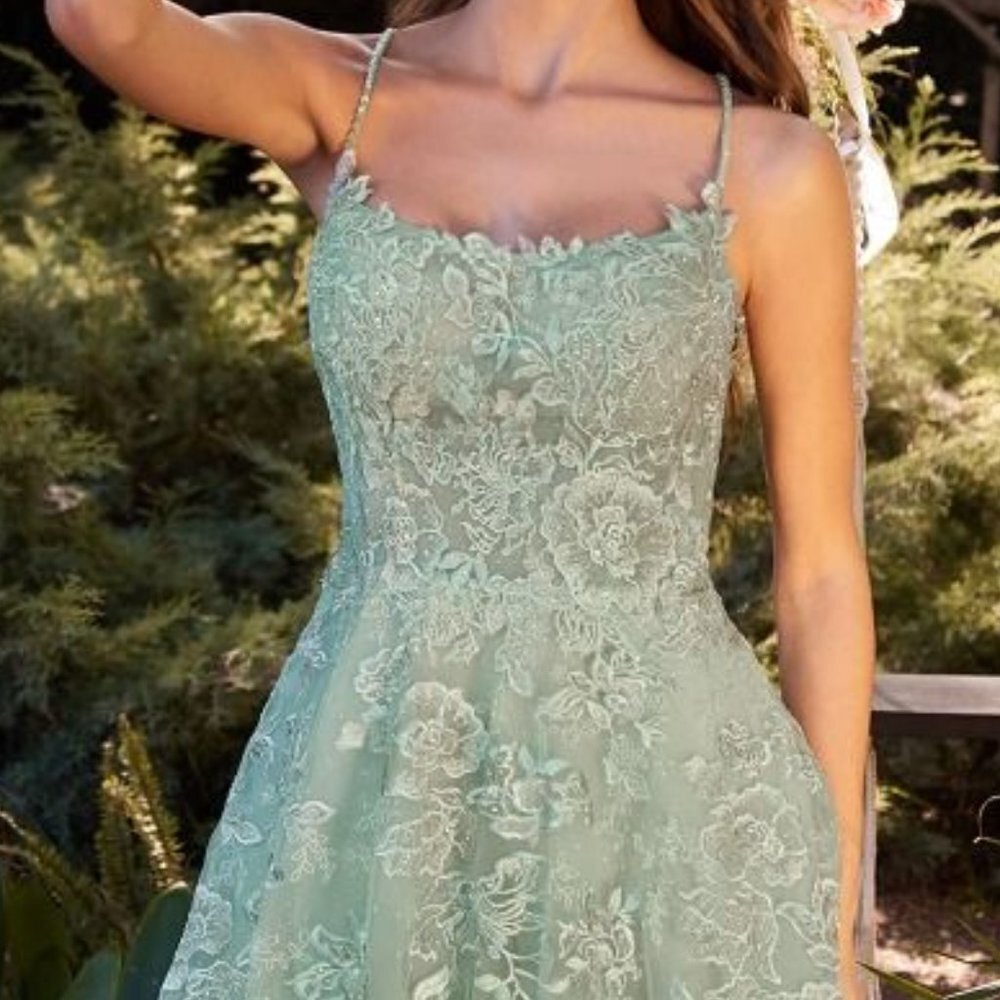 NEW FORMAL SLEEVELESS A-LINE TULLE DRESS EMBROIDERED WITH FLORAL LACE CD A1248 - Picture 5 of 9